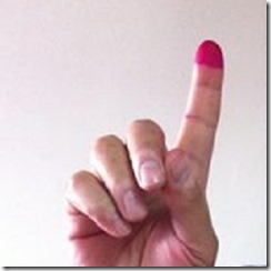 Wageeh Mikhail finger referendum