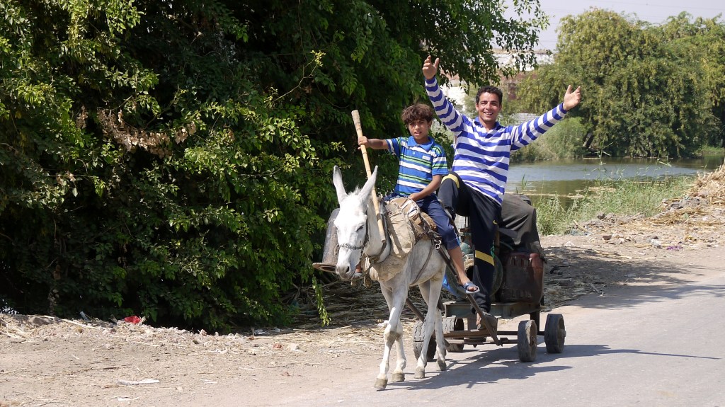 Dwaal door Nijldaldorp&nbsp;Daqouf