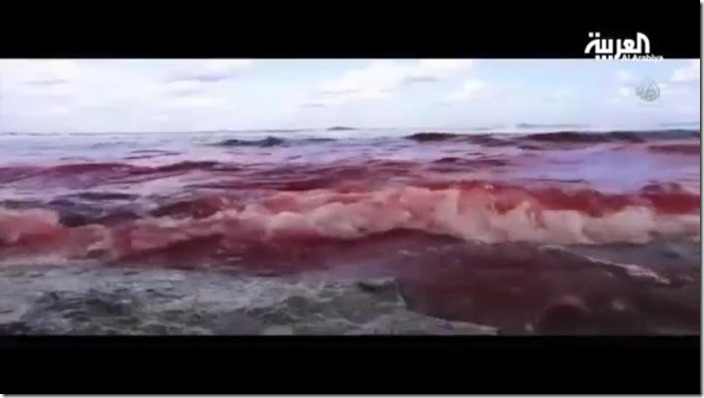 sea 21 copts killed in Libya from Facebook